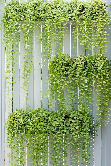 18 Smart Vertical Garden Ideas For Small Spaces Horticulture