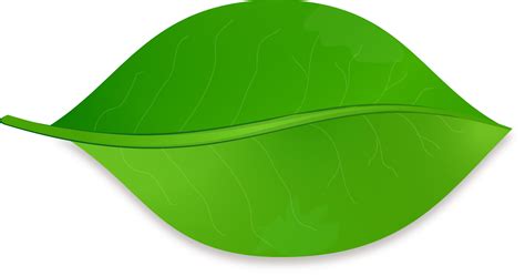 Clipart leaf leaf shape, Clipart leaf leaf shape ...
