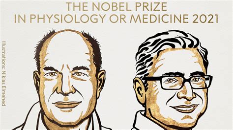 Us Duo Julius And Patapoutian Win Nobel Prize In Medicine World