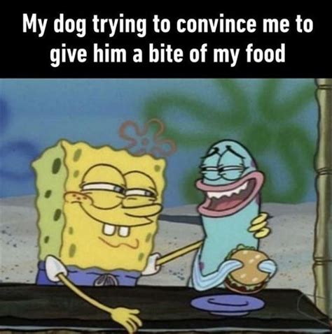 26 Funny Pics And Memes For Anyone Anytime Friendship Memes Funny