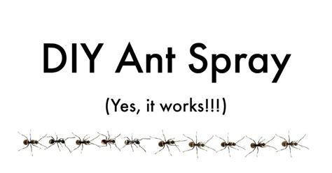 Although most ants in the home are merely annoying, we still don't want them there. DIY Ant Spray Safe for Pets - Get Green Be Well