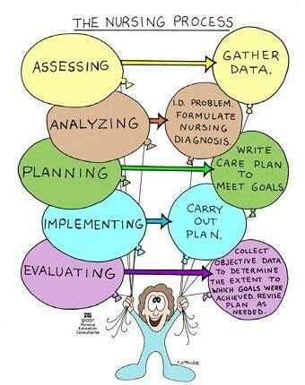 This page is about the meanings of the acronym/abbreviation/shorthand adpie in the governmental field in general and in the planning terminology in particular. 15 best GTC ADN Conceptual Framework images on Pinterest | Conceptual framework, Nurses and Nursing