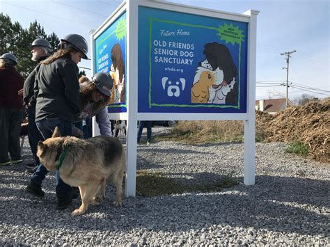 Old Friends Senior Dog Sanctuary Celebrates Future 5 Million Home In
