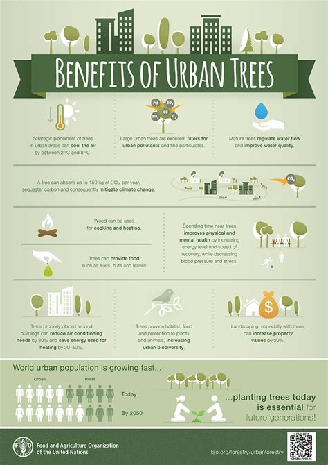 Benefits Of Urban Trees