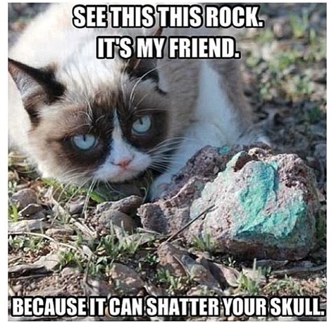 Grumpy Grumpy Cat Quotes Grumpy Cat Humor Cat Memes Funny Memes