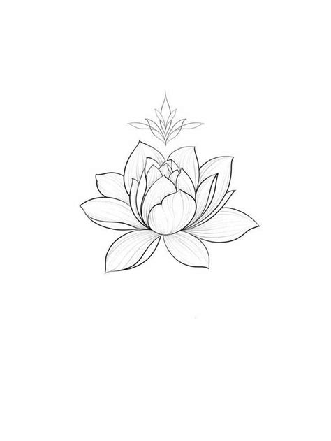 Lotus Flower Tattoo Wrist Lilly Flower Tattoo Simple Lotus Tattoo