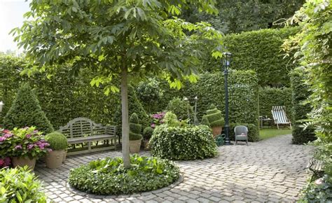 Tipps für hobbygärtner und heimwerker. 10 Tipps rund um Bäume im Garten | Garten, Baumscheiben ...
