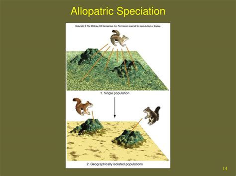 Ppt Chapter 4 Evolution Biological Communities And Species