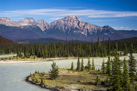 壁紙、カナダ、公園、山、川、風景写真、athabasca River、ジャスパー国立公園、トウヒ属、自然、ダウンロード、写真