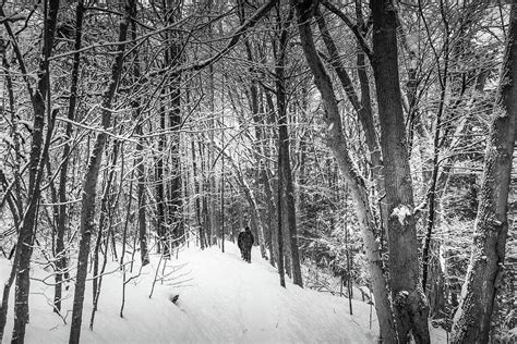 Winter Wonderland Scene And Landscape Photograph By Catherine Landry