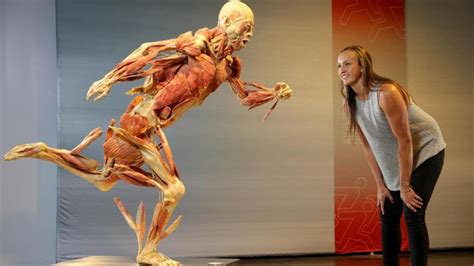 From 15 to 17 february 2019 in pisa an exceptional exhibition. Real Bodies exhibition: Largest collection of cadavers and ...