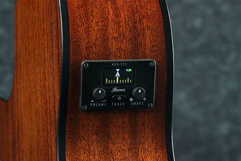 Ibanez Aeg50 Series Acoustic Electric Guitar