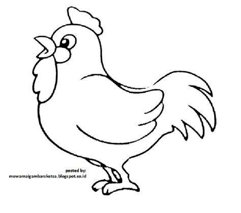 Detail Cara Menggambar Ayam Yang Mudah Koleksi Nomer 23