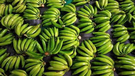 Export Of ‘nendran Bananas From Kerala On The Rise The Hindu