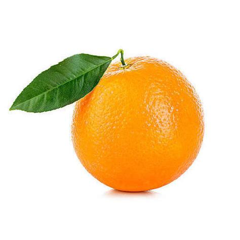 Juice Fresh Orange At Rs 20kilogram Fresh Orange In Nagpur Id