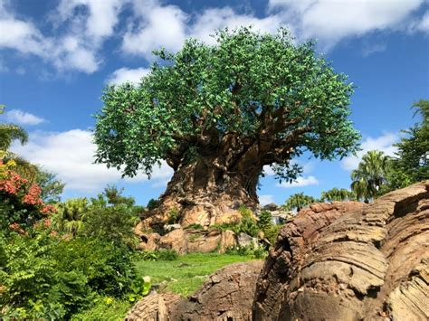 Visiting Disneys Animal Kingdom With Kids A Complete Guide Theme