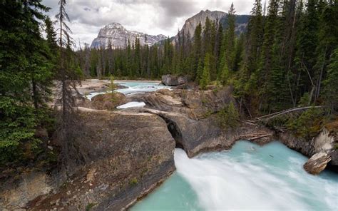 Download Wallpapers Yoho National Park Mountain River Forest Green