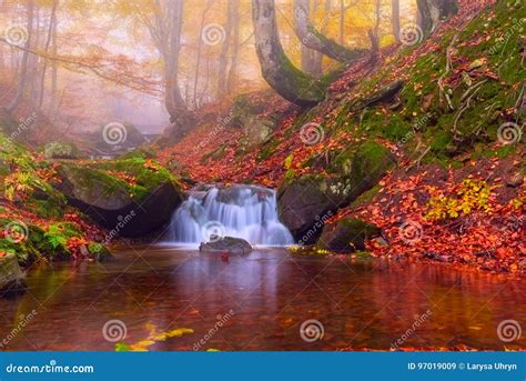 Colors Of Autumn Foggy Forest With Mountain Waterfall Stock Image