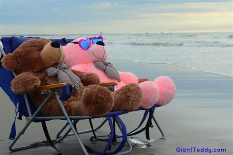 Oh Yeah Relaxation Bear On The Beach Style Sunny Cuddles And Lady Cuddles In Florida