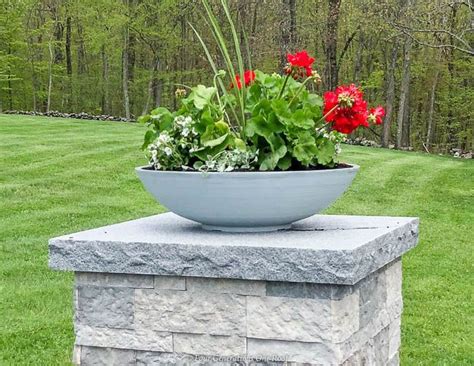 Planting Red Geraniums In Bowl Planters On Outdoor Columns Plants