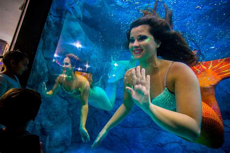 Mermaids Show At Sao Paulo Aquarium In Brazil