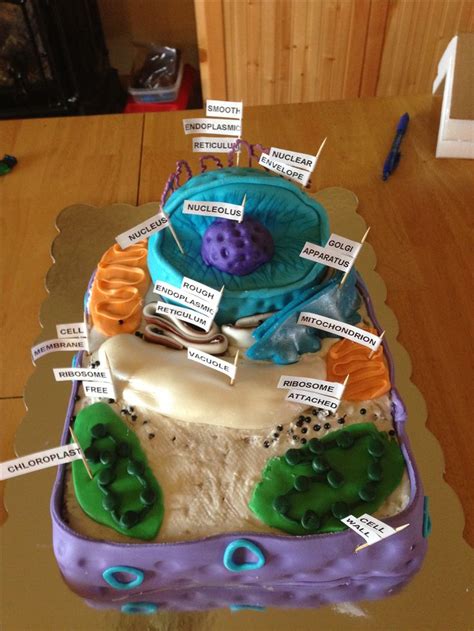 Osmosis occurs in many plant and animal cells with a semipermeable membrane. 19 best Cell Cake images on Pinterest | Animal cell ...