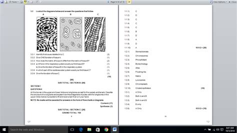 On this page you can read or download english memo final grade 11 2016 paper 2 about this story transforming moments memo in pdf format. Physical science grade 11 exam papers and memos 2016 pdf