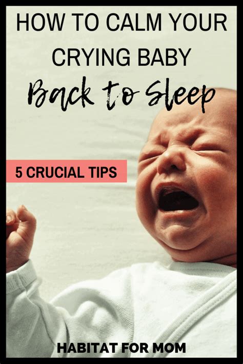 How To Calm Your Crying Baby Back To Sleep 5 Tips Habitat For Mom