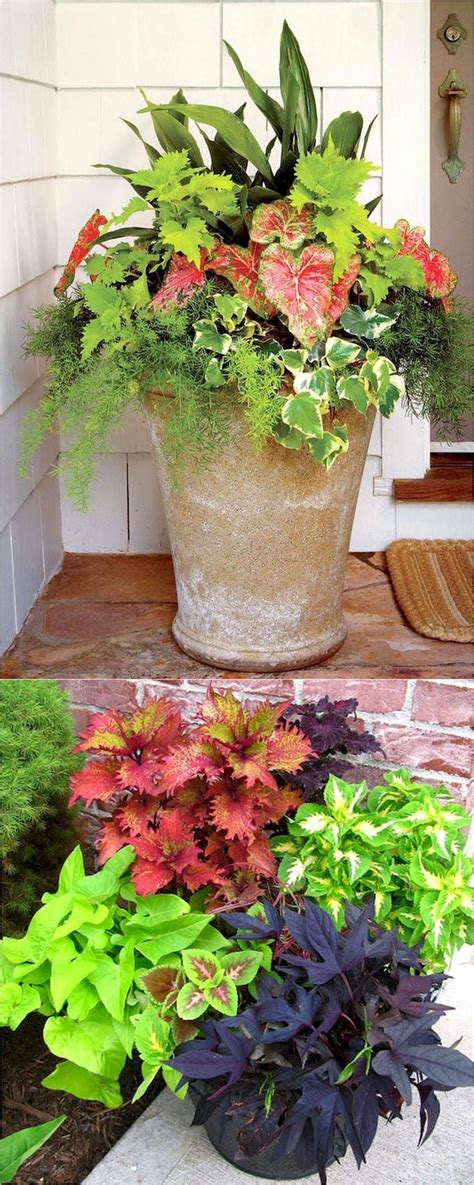 Cool 75 Fabulous Summer Container Garden Flowers Ideas