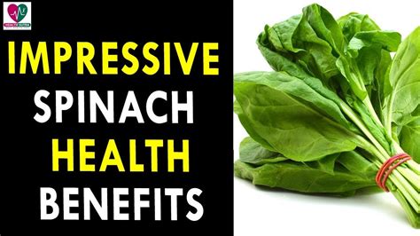 Impressive Spinach Health Benefits Health Sutra Best Health Tips