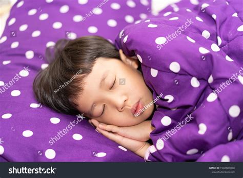 Boy Sleeping On Bed Night Stock Photo 1902809848 Shutterstock
