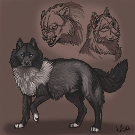 Check spelling or type a new query. Wolf reference Sheet by NatsumeWolf | Cute small animals, Wolf shifter, Animal ears