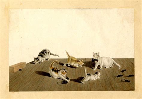 Gottfried Mind Five Cats Hunting A Group Of Mice Aquatint And