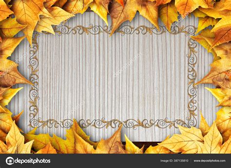 Colorful Autumn Dry Leaves Border Frame White Painted Rustic Barn