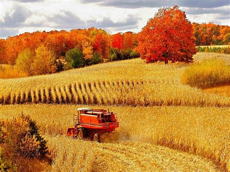 65 Fall Farm Harvest Wallpapers Download At Wallpaperbro Field