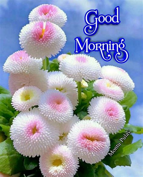 Pin By Thyagarajb On Good Morning Beautiful Flowers Pictures