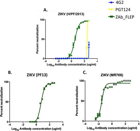 in vitro neutralization of zika strains by illustrative antibodies download scientific diagram