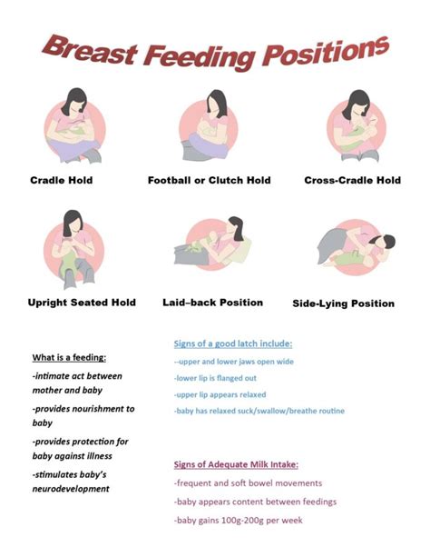 Breastfeeding 101 What New Moms Need To Know