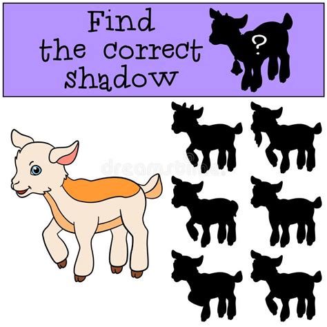 Children Games Find The Correct Shadow Cute Little Baby Goat Stock