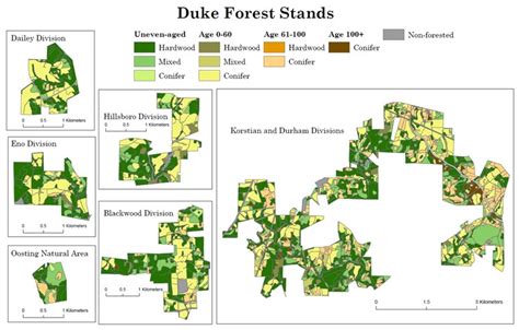 Forest Cover Types And Communities Duke Forest