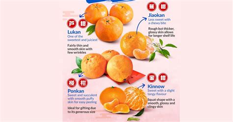 Ntuc Fairprice Has A Handy Guide On The Different Types Of Mandarin