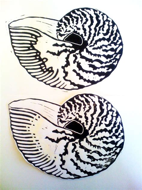 Nautilus Shells Linocut Variations Sarah Holt Linocut Prints
