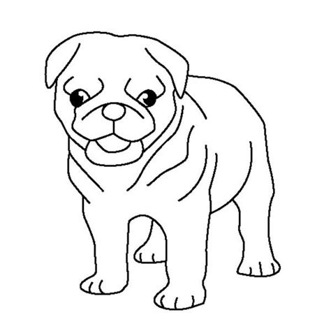 Little cute dog with a flower in its ear. Fluffy Baby Puppies Coloring Pages Coloring Pages