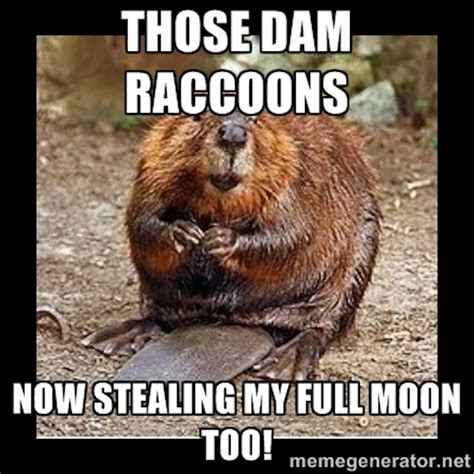 These Hilarious Beaver Moon Memes Are The Only Logical Way To Celebrate An Astrological Event