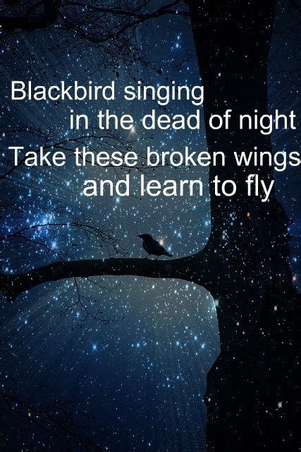 Best learn to fly quotes selected by thousands of our users! Take These Broken Wings & Learn to Fly ♡ | Music quotes, Music lyrics, Beatles lyrics
