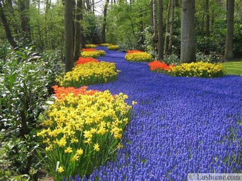 Colorful Spring Flowers And Yard Landscaping Ideas