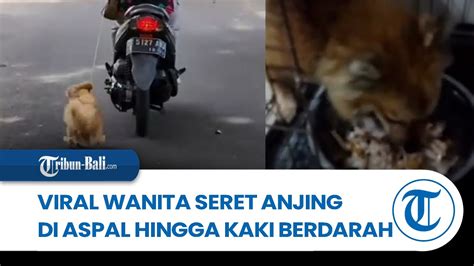 Berita Lokal Viral Video Wanita Kendarai Motor Sambil Seret Anjing Di Aspal Hingga Kaki