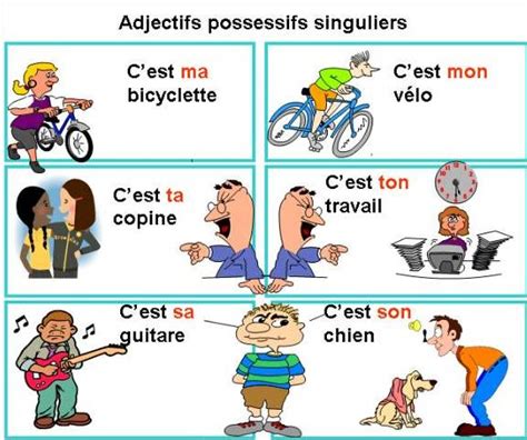 Le Cahier De Français Les Adjectifs Possessifs