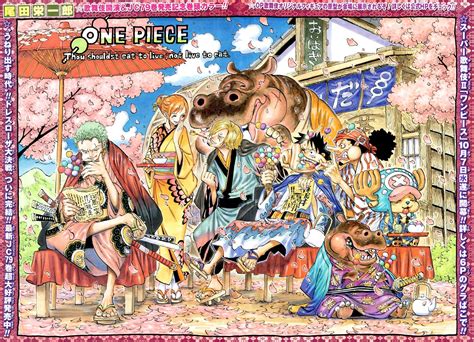 Afficher Limage Dorigine One Piece Pinterest Manga And Anime