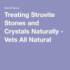 If your dog has struvite bladder stones, then acidifying ...